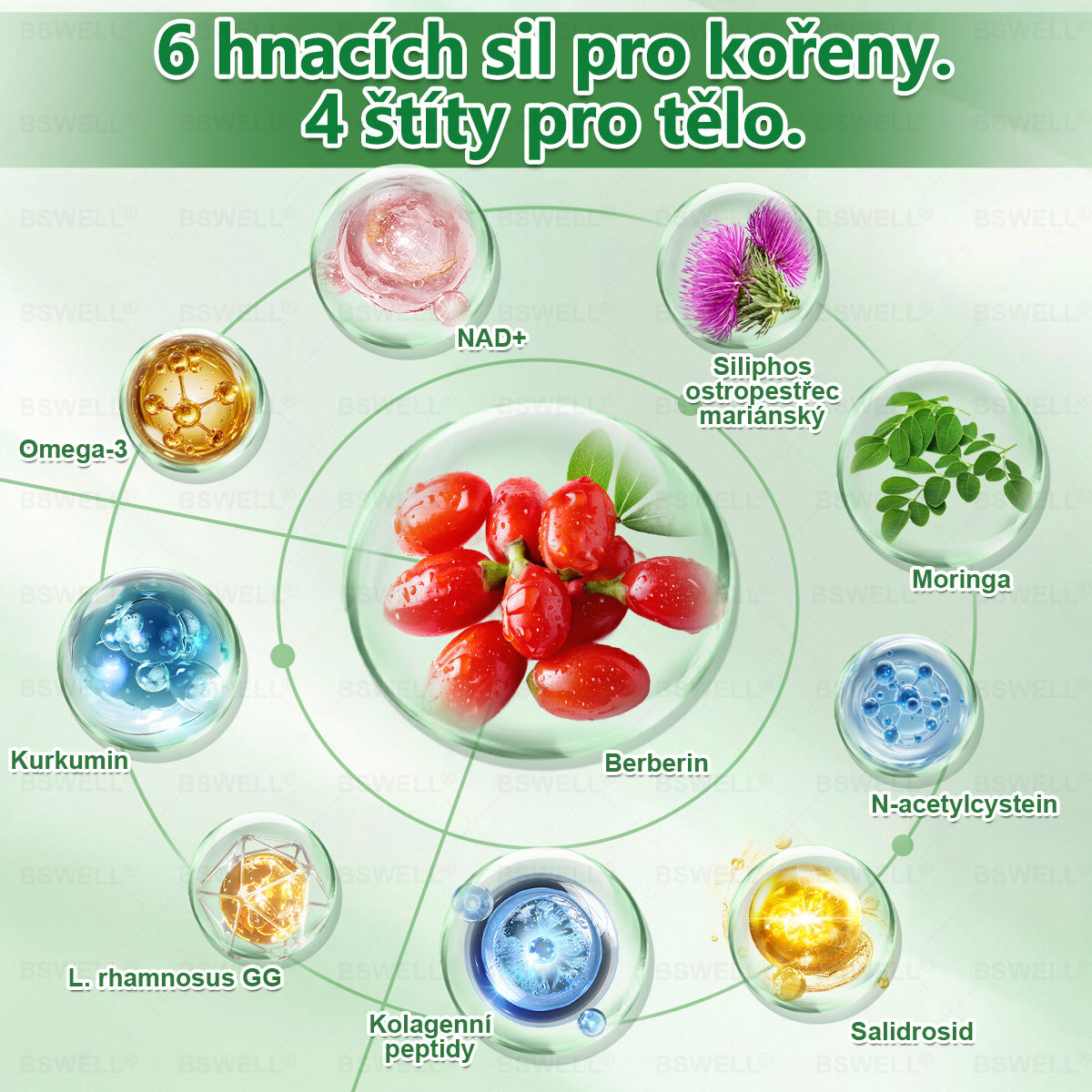 BSWELL® Nano mikrovpichová zeštíhlující náplast✨(Stačí použít pouze jednou denně – viditelné změny již za 28 dní) ✅Bezbolestná, dlouhotrvající, zaměřená na řešení cukrovky, obezity a kardiovaskulárních onemocnění