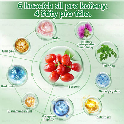 BSWELL® Nano mikrovpichová zeštíhlující náplast✨(Stačí použít pouze jednou denně – viditelné změny již za 28 dní) ✅Bezbolestná, dlouhotrvající, zaměřená na řešení cukrovky, obezity a kardiovaskulárních onemocnění