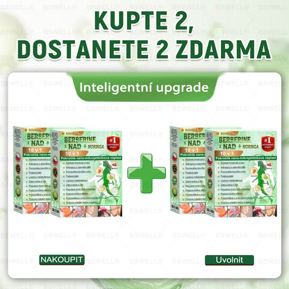 BSWELL® Nano mikrovpichová zeštíhlující náplast✨(Stačí použít pouze jednou denně – viditelné změny již za 28 dní) ✅Bezbolestná, dlouhotrvající, zaměřená na řešení cukrovky, obezity a kardiovaskulárních onemocnění